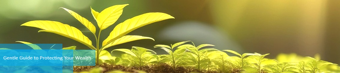 メインイメージ